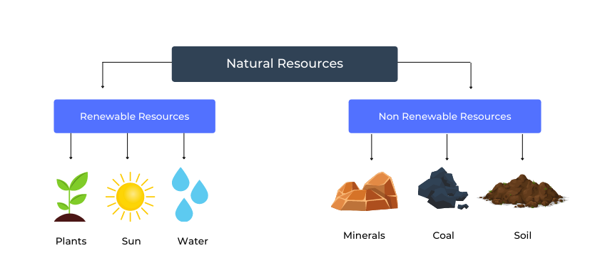 natural resource examples