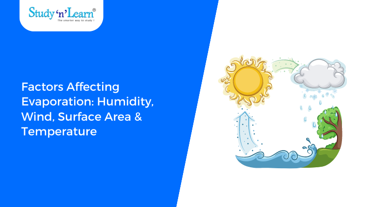 What Is The Effect Of Wind Speed On Evaporation