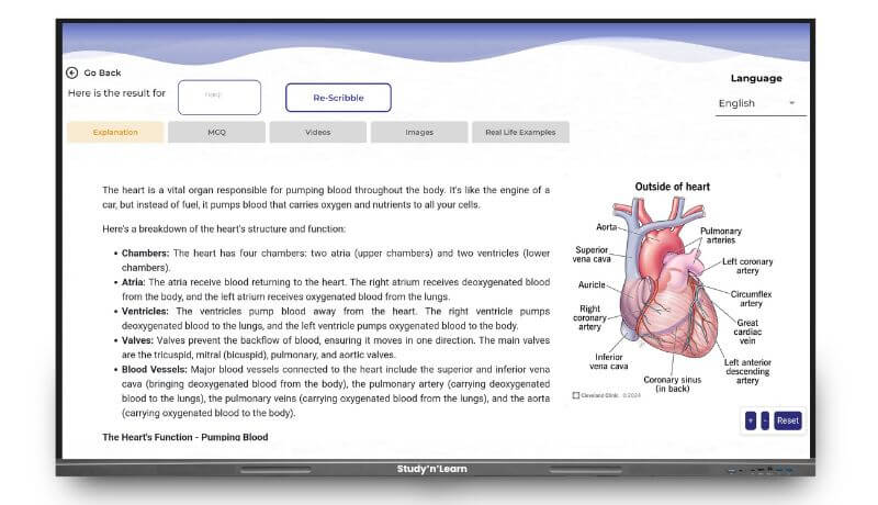 interactive panel for teachers and students — digital teaching board for schools