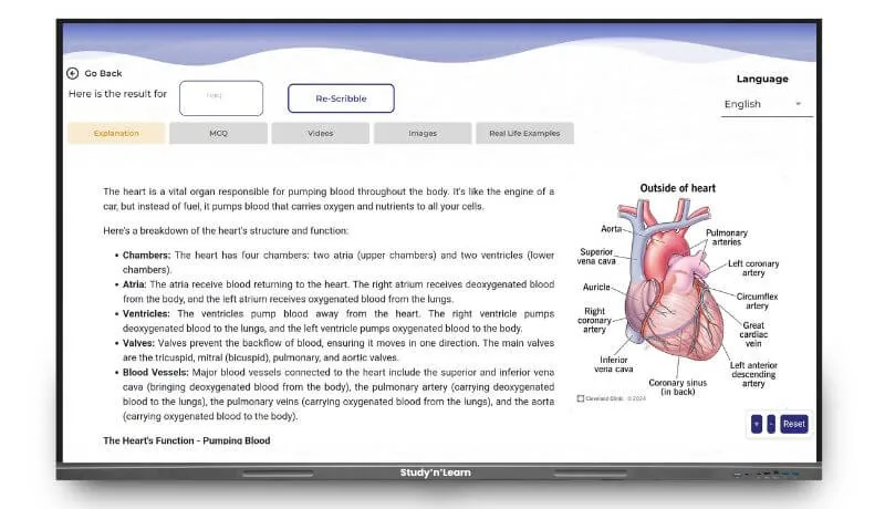 Exam practice and question bank content on a StudynLearn IFP