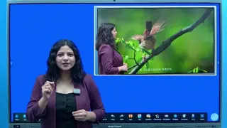 Meet the Interactive Flat Panel — StudynLearn IFP demo chapter