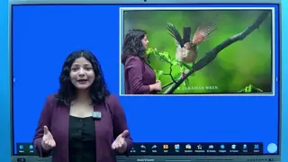 4K Display — StudynLearn IFP demo chapter