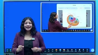 Split-Screen Teaching — StudynLearn IFP demo chapter