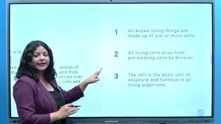 Board Color, Theme & Image Editing — StudynLearn IFP demo chapter