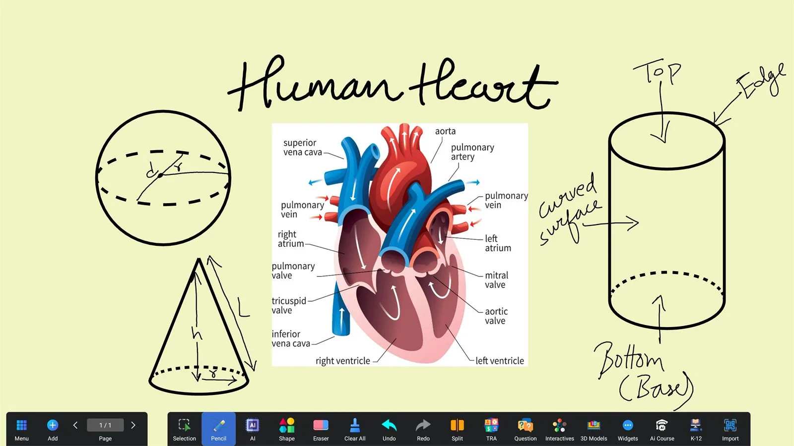 StudynLearn AI Smart Classroom software running on an IFP